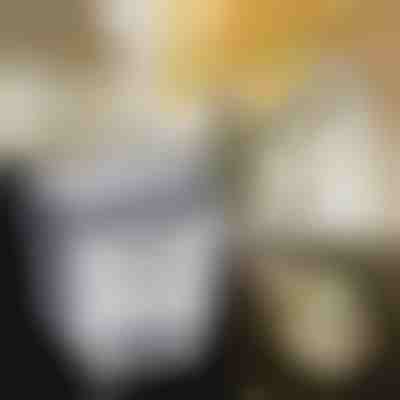 Zložljivi kuhinjski koš | FLEXBIN