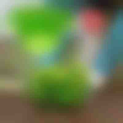 Preženite škodljivce z VEGISHIELD (10 kos)