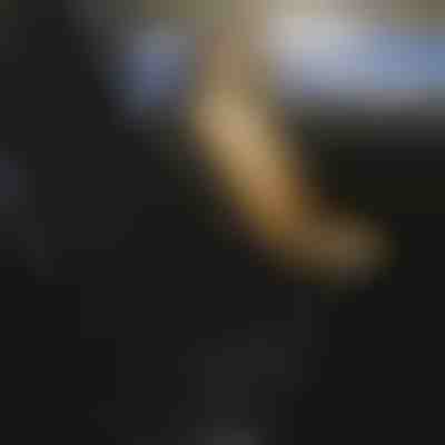 Oblazinjena prevleka za avtosedež za vse avtomobile | CUSHYRIDE