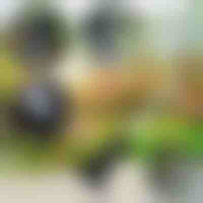 Vrtno orodje 4 v 1 | VERSAX