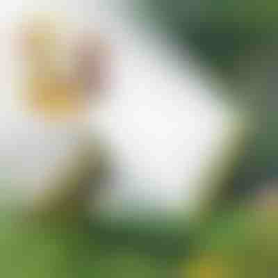 Večglavni cevni razpršilnik | SPRAYMASTER