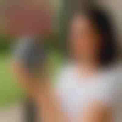 Solarni uničevalec insektov, ki varčuje z energijo | BUZZORA